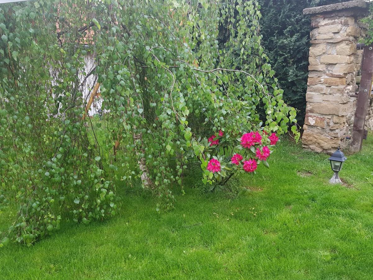 Ferienwohnung Zlty Dom Vrbov Exterior foto